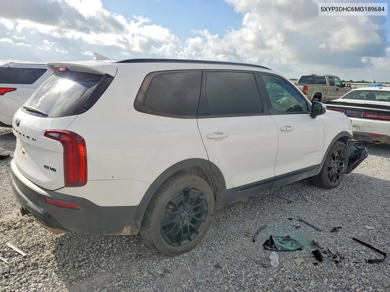 2021 Kia Telluride Ex VIN: 5XYP3DHC6MG189684 Lot: 56479676