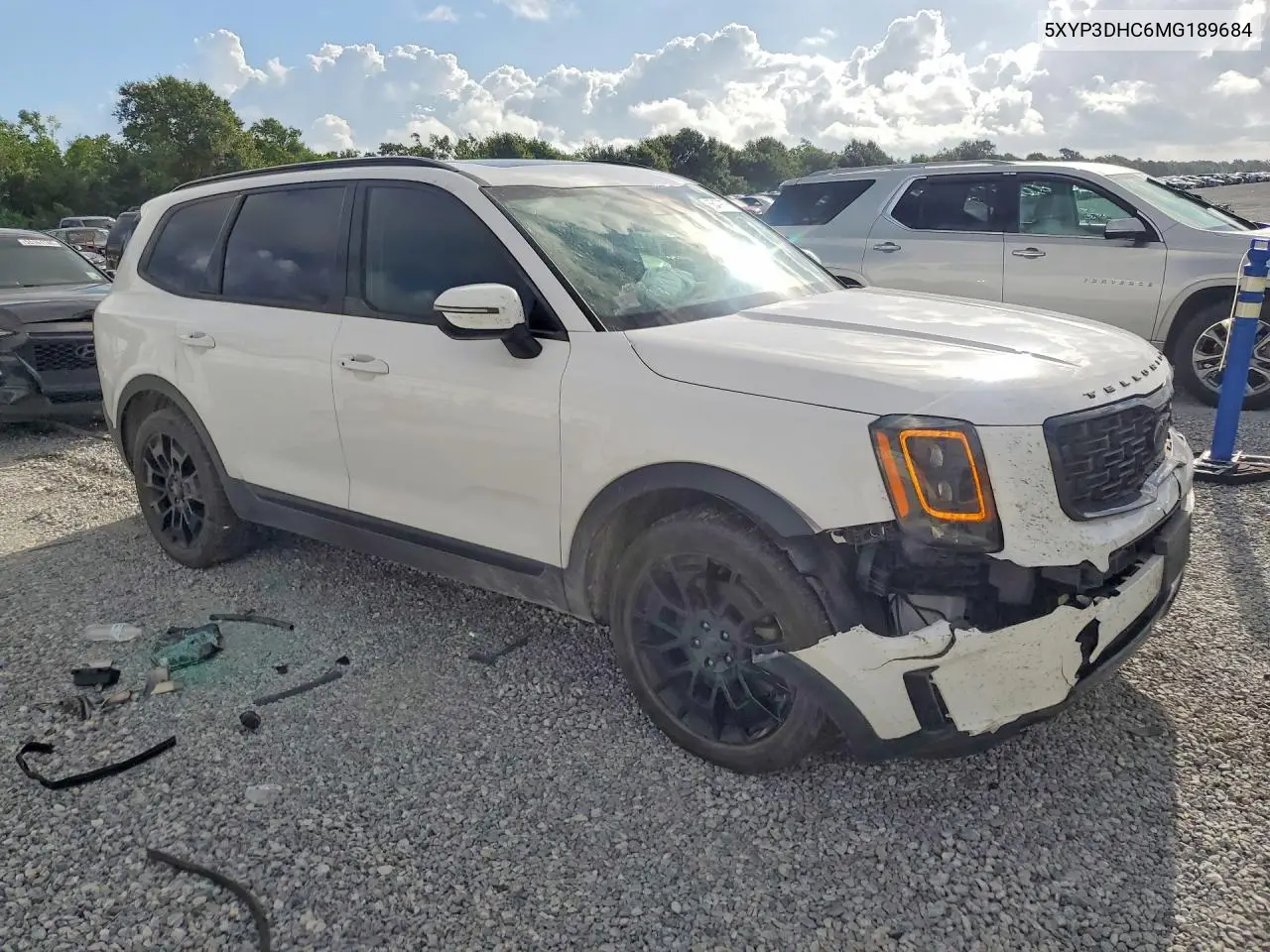 2021 Kia Telluride Ex VIN: 5XYP3DHC6MG189684 Lot: 56479676