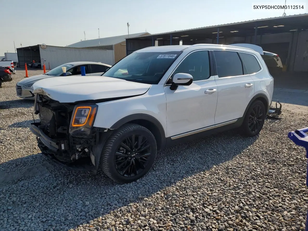 2021 Kia Telluride Sx VIN: 5XYP5DHC0MG112514 Lot: 57877046