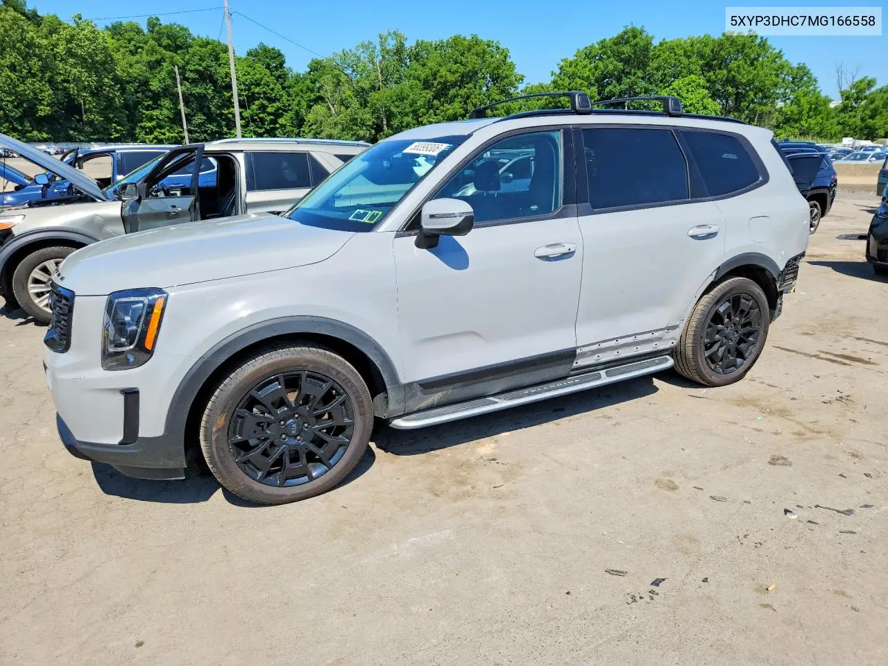 2021 Kia Telluride VIN: 5XYP3DHC7MG166558 Lot: 58399306