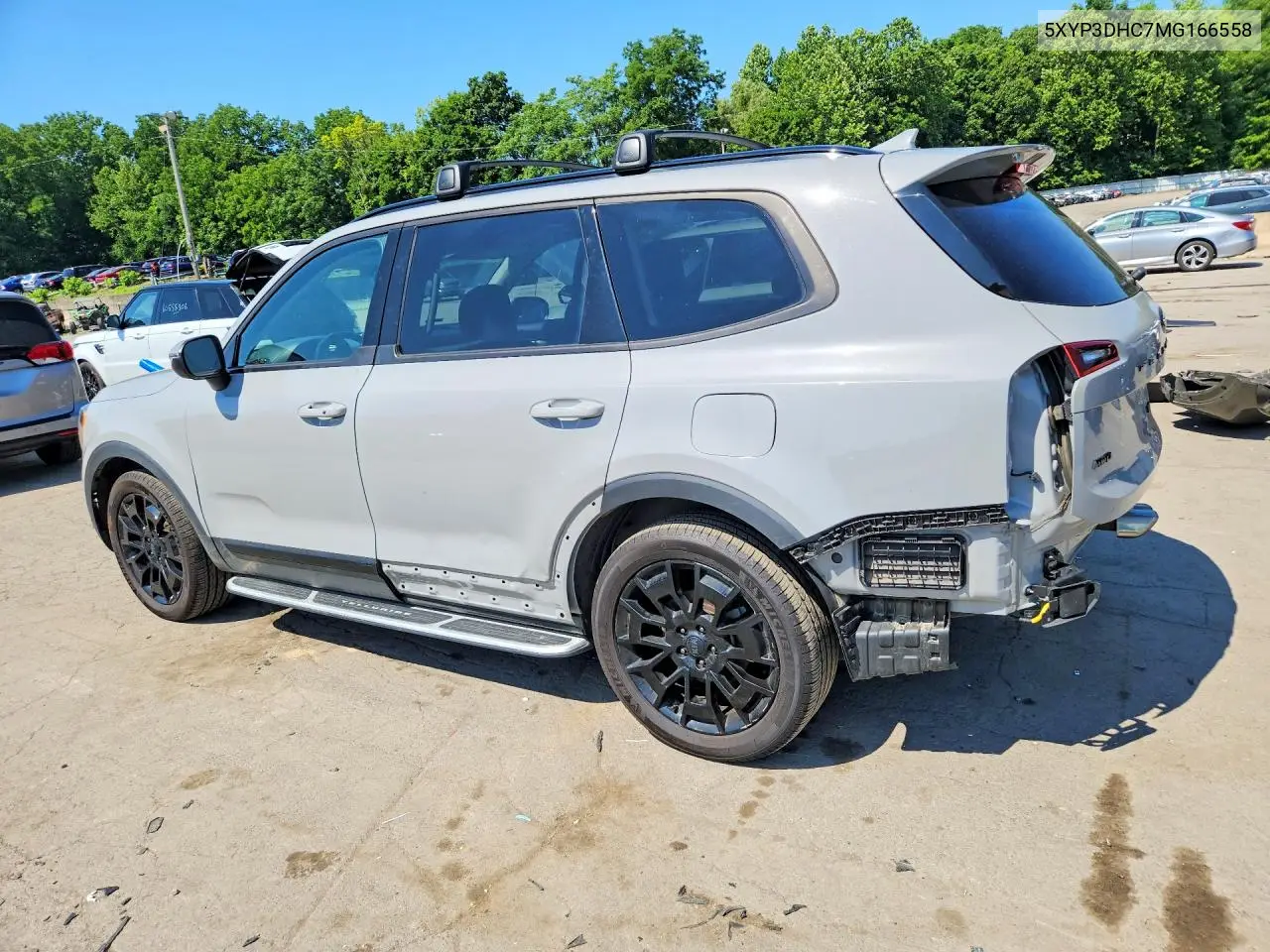 2021 Kia Telluride VIN: 5XYP3DHC7MG166558 Lot: 58399306