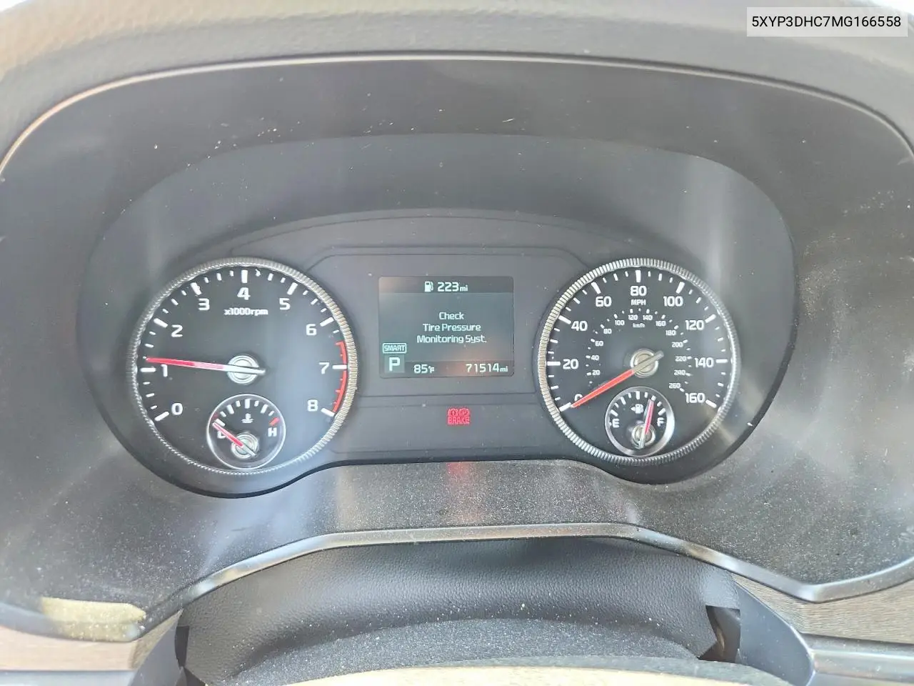 2021 Kia Telluride VIN: 5XYP3DHC7MG166558 Lot: 58399306