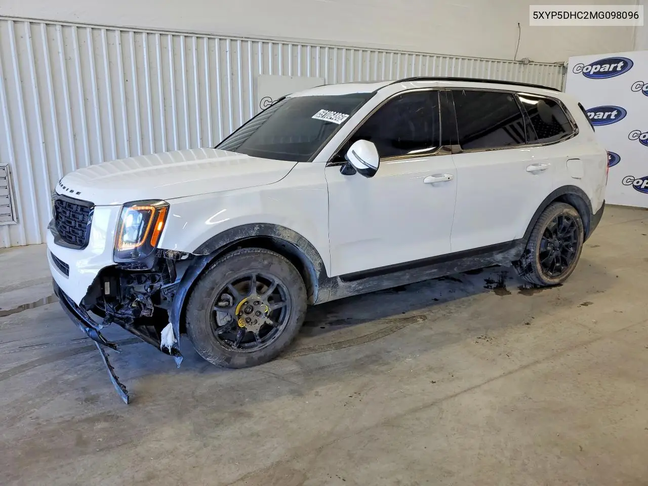 2021 Kia Telluride Sx VIN: 5XYP5DHC2MG098096 Lot: 59106486