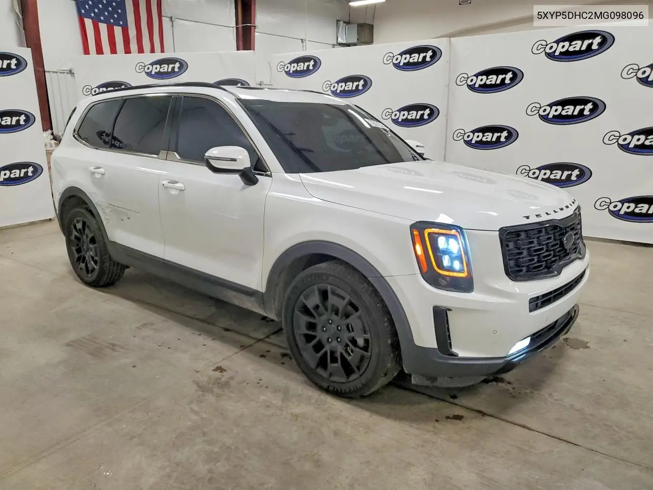 2021 Kia Telluride Sx VIN: 5XYP5DHC2MG098096 Lot: 59106486