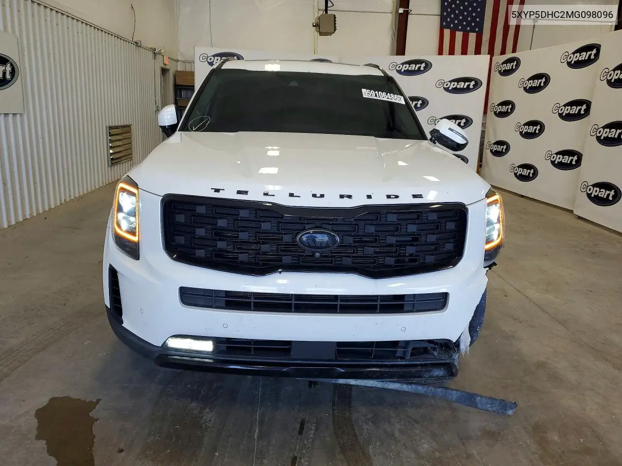 2021 Kia Telluride Sx VIN: 5XYP5DHC2MG098096 Lot: 59106486