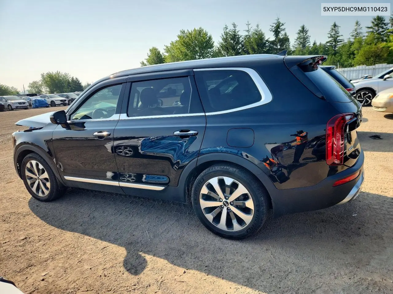 2021 Kia Telluride Sx VIN: 5XYP5DHC9MG110423 Lot: 59377136