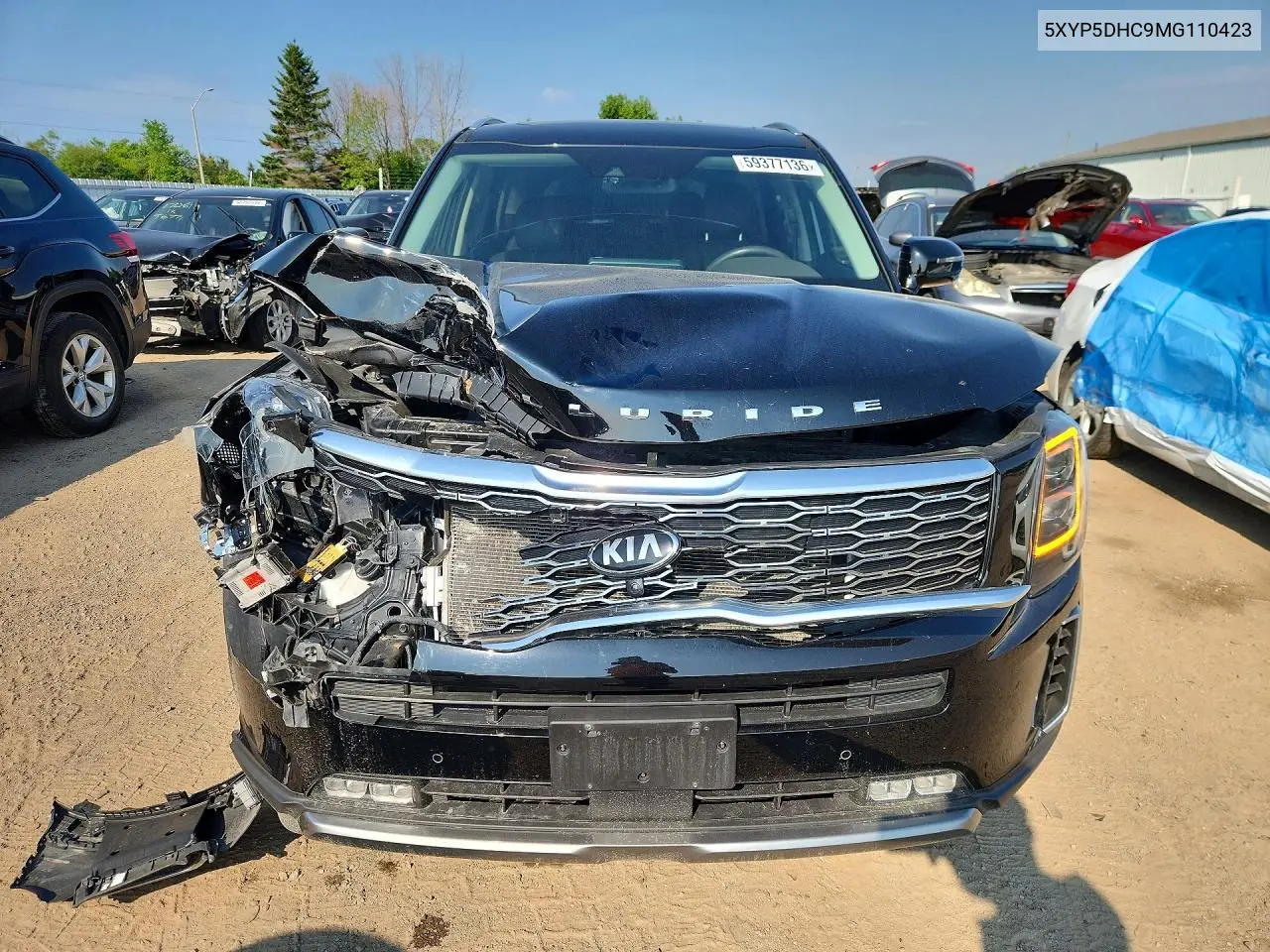 2021 Kia Telluride Sx VIN: 5XYP5DHC9MG110423 Lot: 59377136