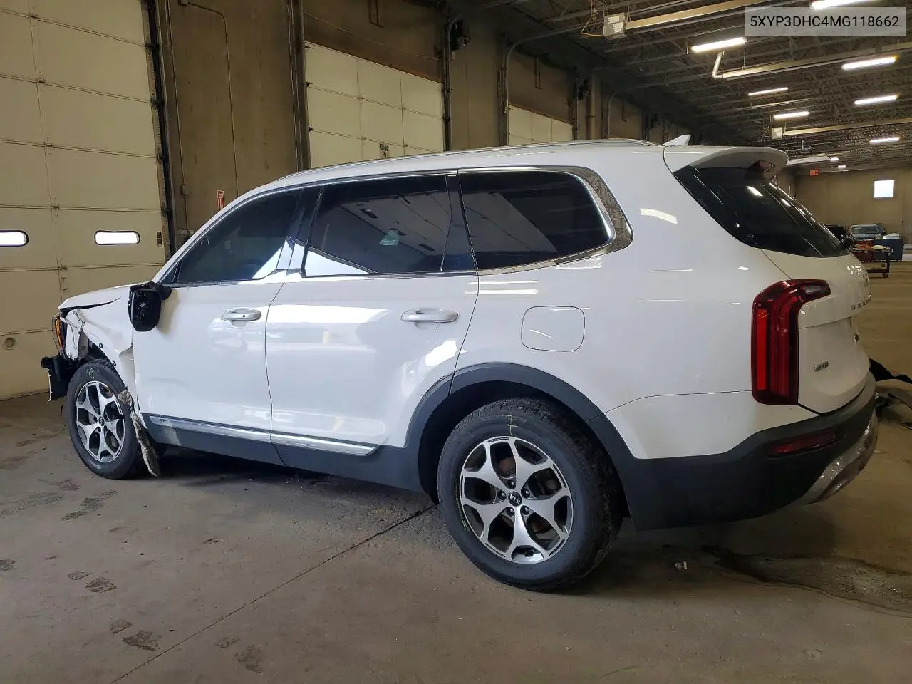 2021 Kia Telluride Ex VIN: 5XYP3DHC4MG118662 Lot: 59577286
