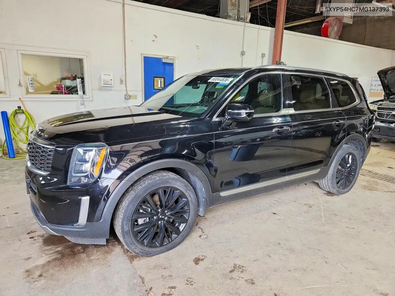 2021 Kia Telluride Sx VIN: 5XYP54HC7MG137393 Lot: 60044836
