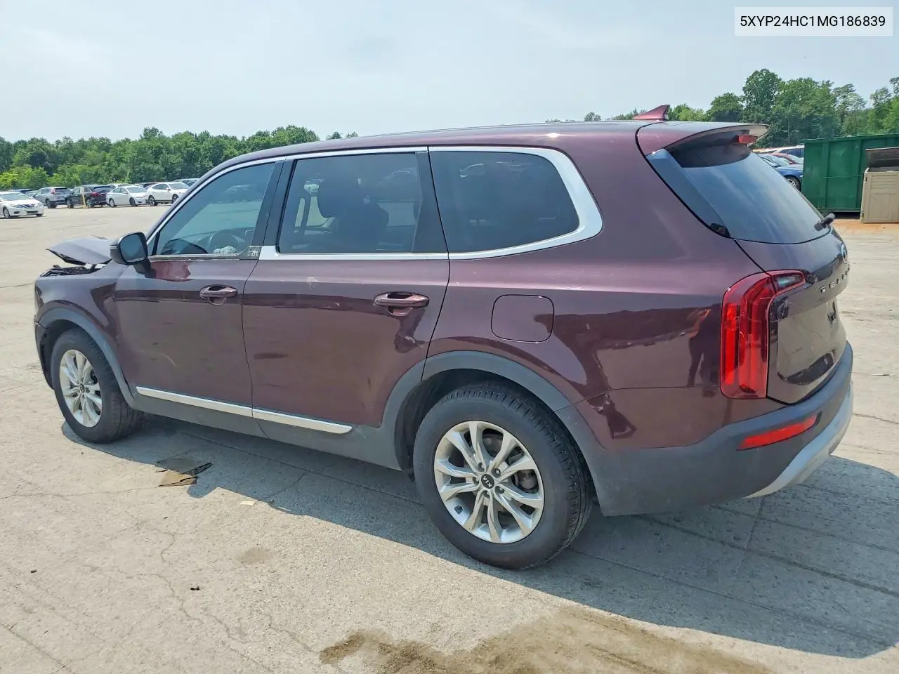 2021 Kia Telluride Lx VIN: 5XYP24HC1MG186839 Lot: 60494046