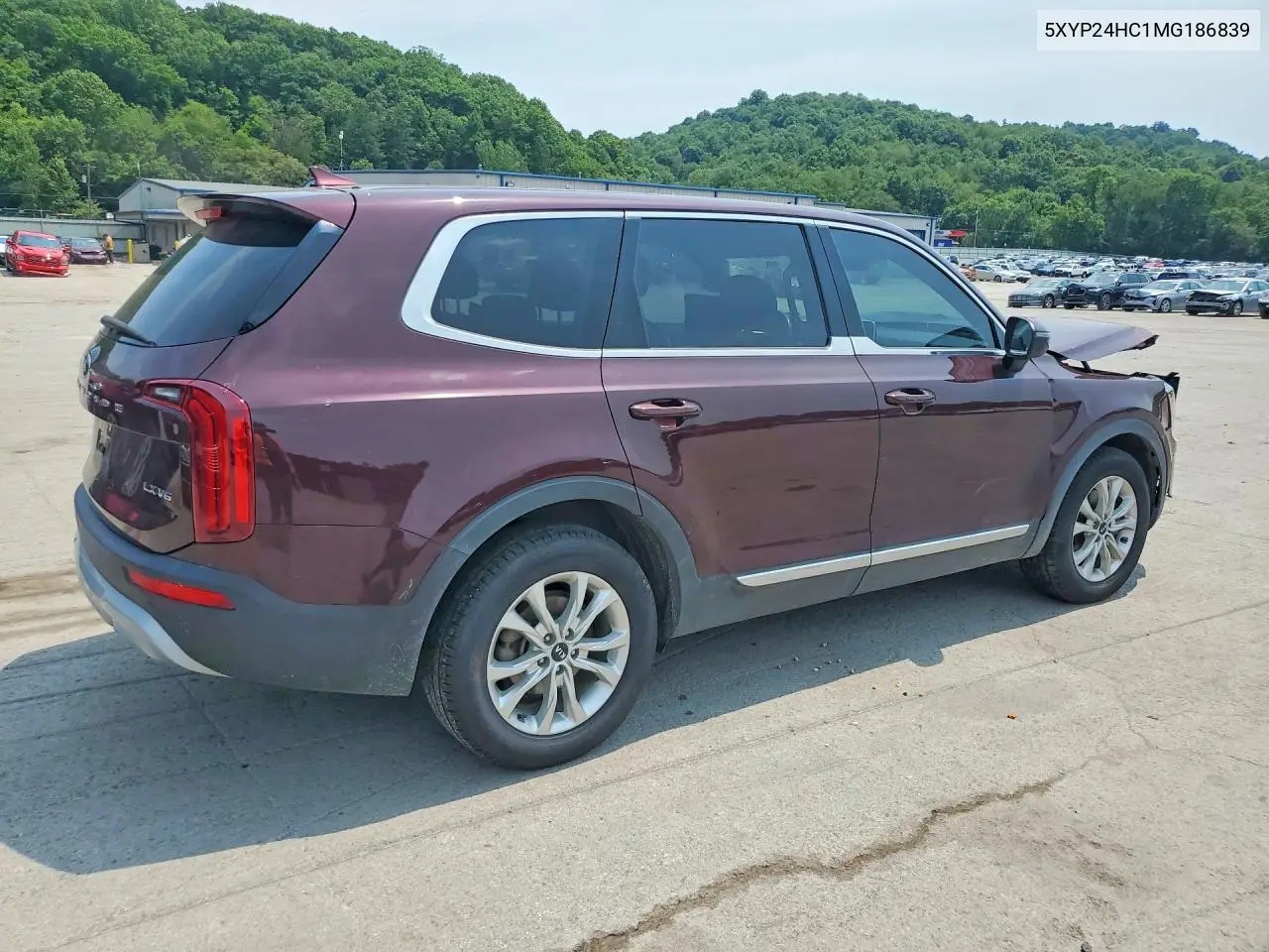 2021 Kia Telluride Lx VIN: 5XYP24HC1MG186839 Lot: 60494046