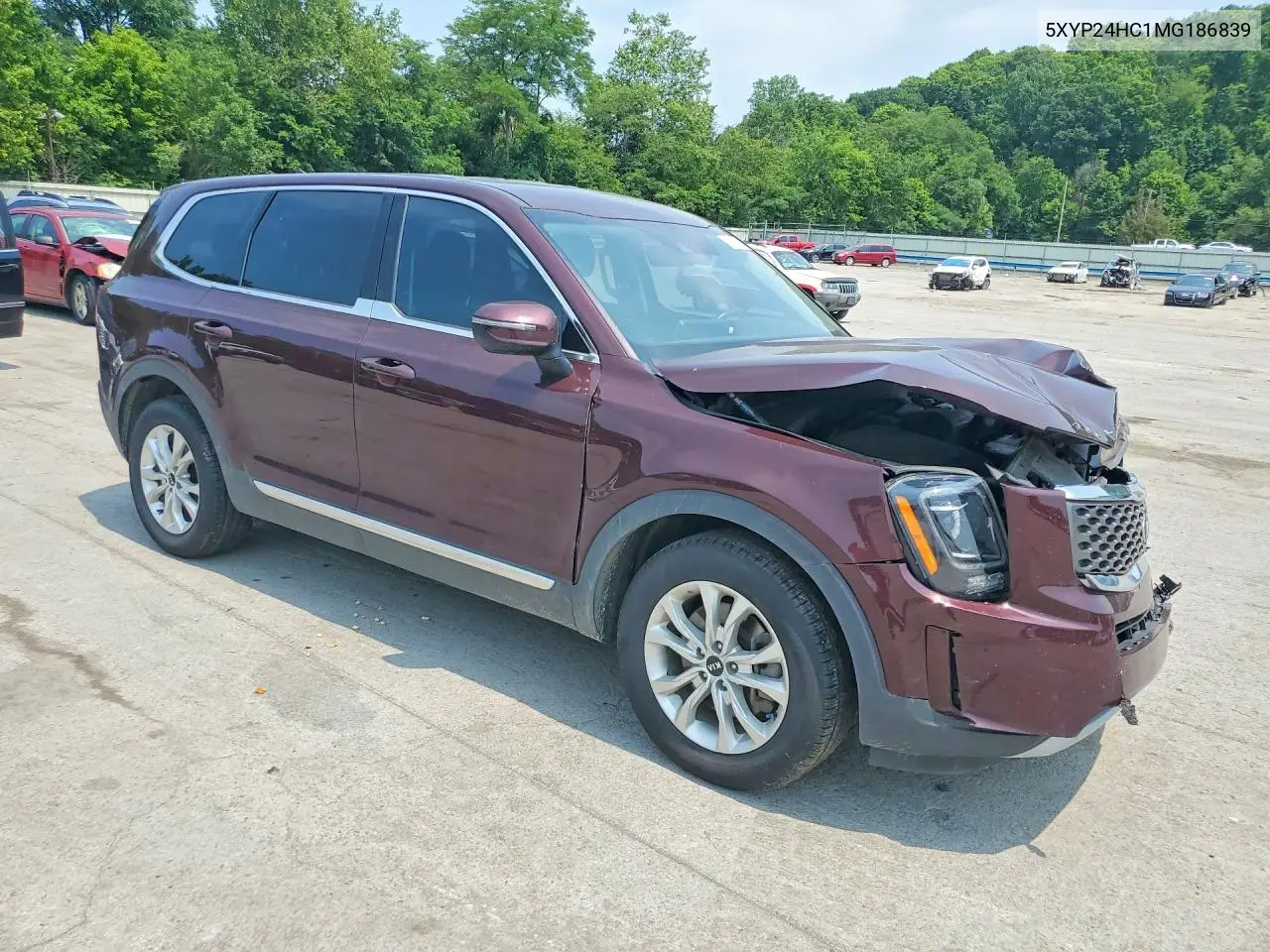 2021 Kia Telluride Lx VIN: 5XYP24HC1MG186839 Lot: 60494046