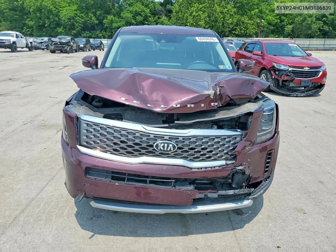 2021 Kia Telluride Lx VIN: 5XYP24HC1MG186839 Lot: 60494046