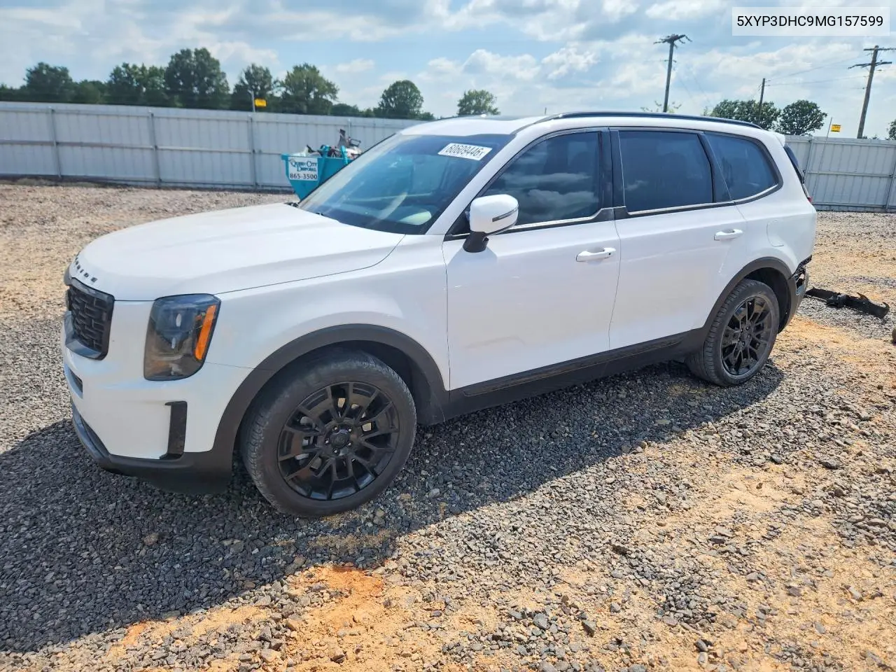 2021 Kia Telluride Ex VIN: 5XYP3DHC9MG157599 Lot: 60609446