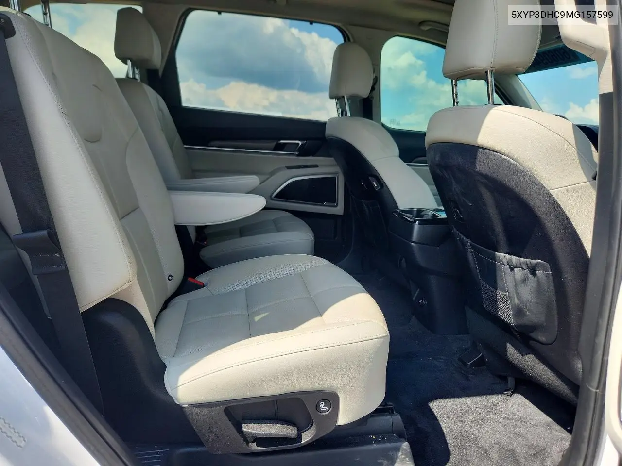 2021 Kia Telluride Ex VIN: 5XYP3DHC9MG157599 Lot: 60609446