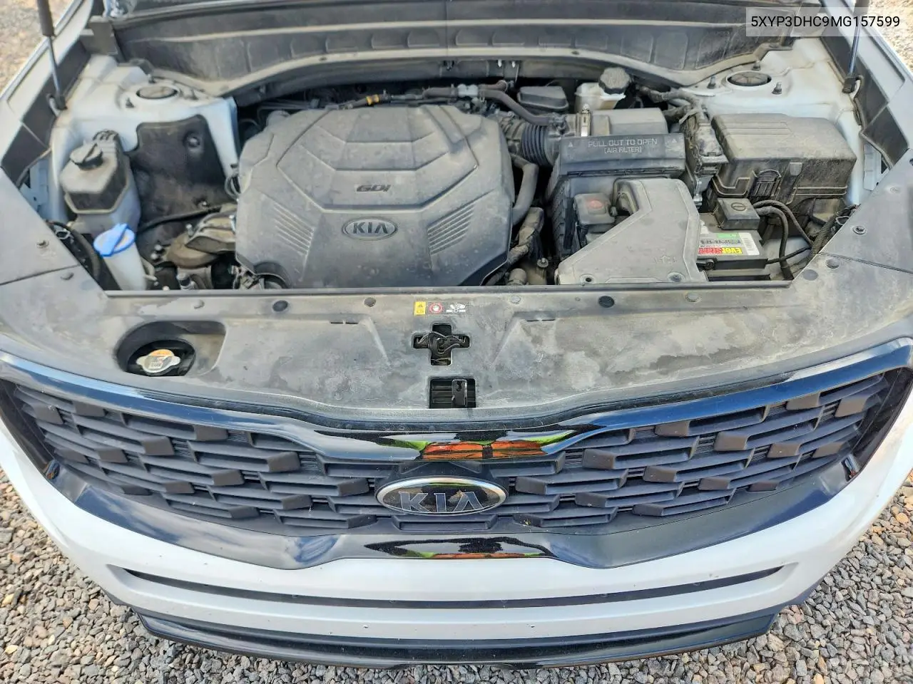 2021 Kia Telluride Ex VIN: 5XYP3DHC9MG157599 Lot: 60609446