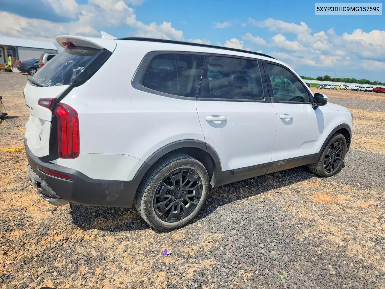 2021 Kia Telluride Ex VIN: 5XYP3DHC9MG157599 Lot: 60609446