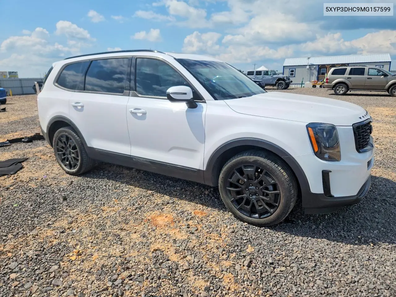 2021 Kia Telluride Ex VIN: 5XYP3DHC9MG157599 Lot: 60609446