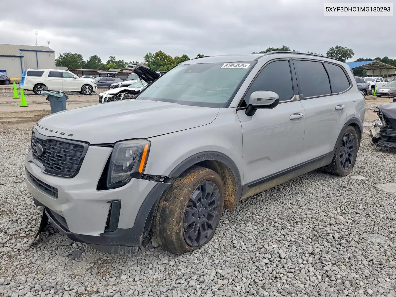 2021 Kia Telluride Ex VIN: 5XYP3DHC1MG180293 Lot: 60960836