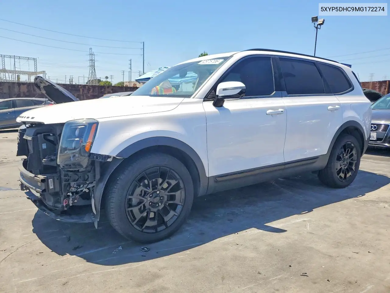 2021 Kia Telluride Sx VIN: 5XYP5DHC9MG172274 Lot: 60975706