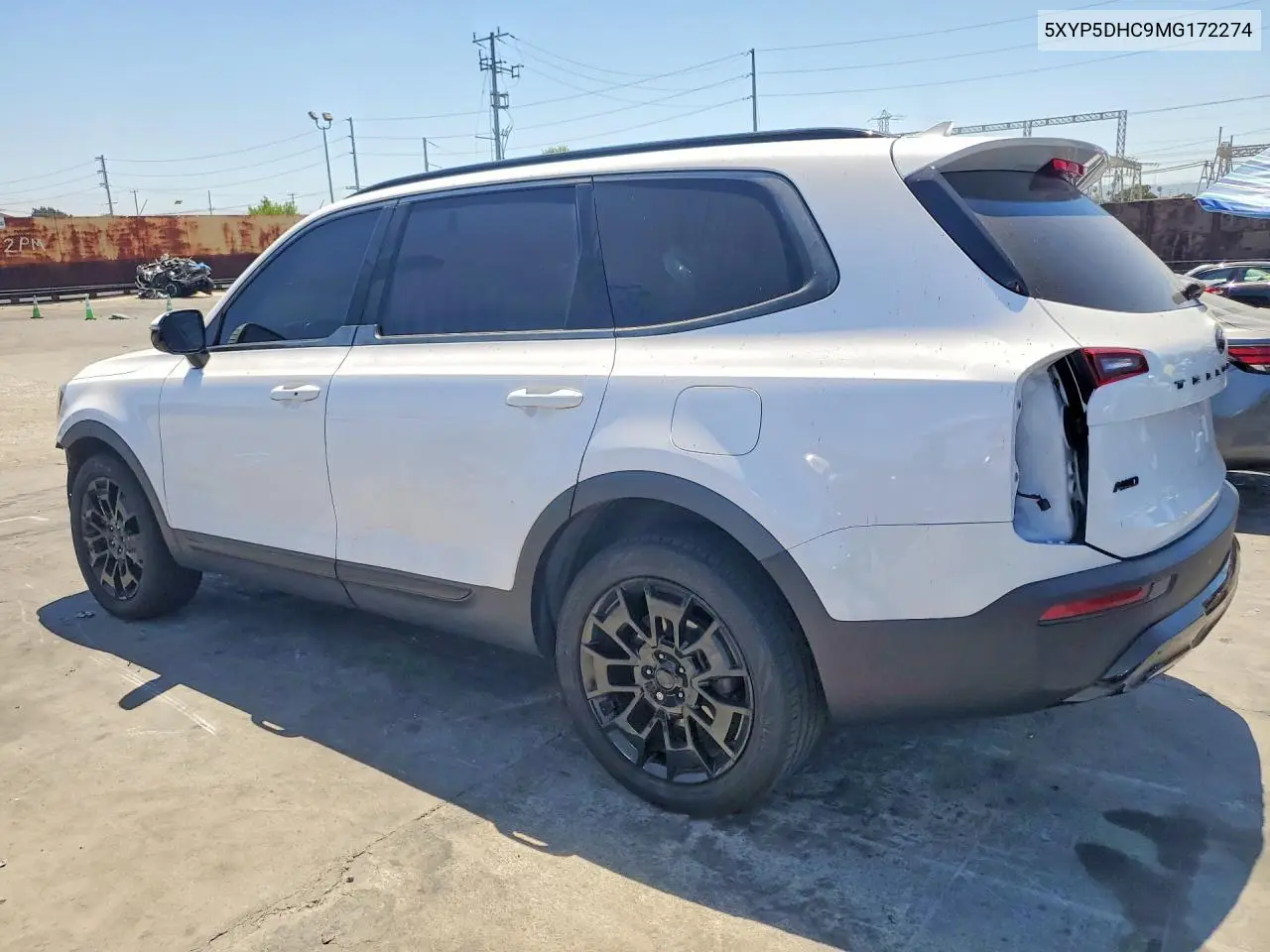 2021 Kia Telluride Sx VIN: 5XYP5DHC9MG172274 Lot: 60975706