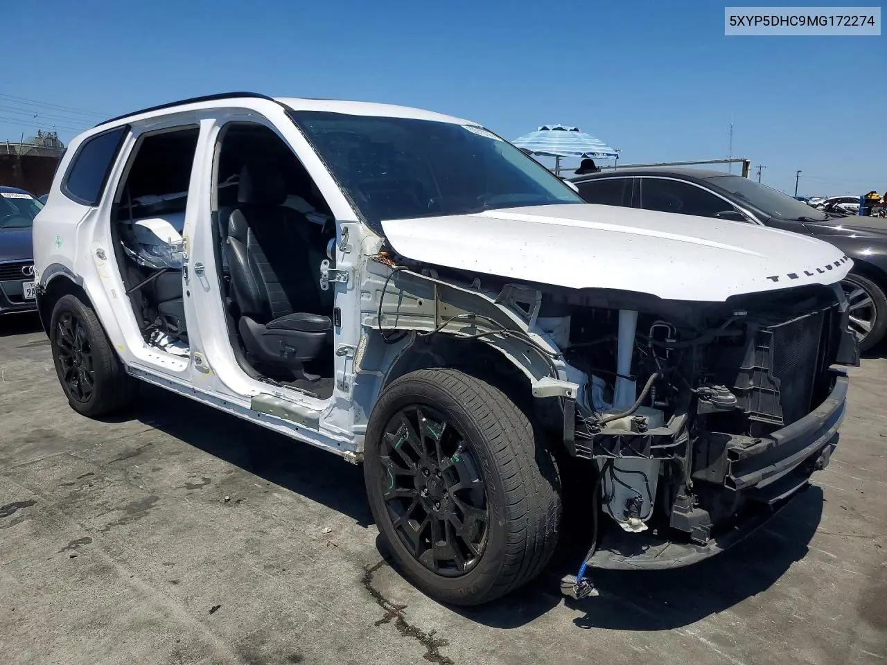 2021 Kia Telluride Sx VIN: 5XYP5DHC9MG172274 Lot: 60975706
