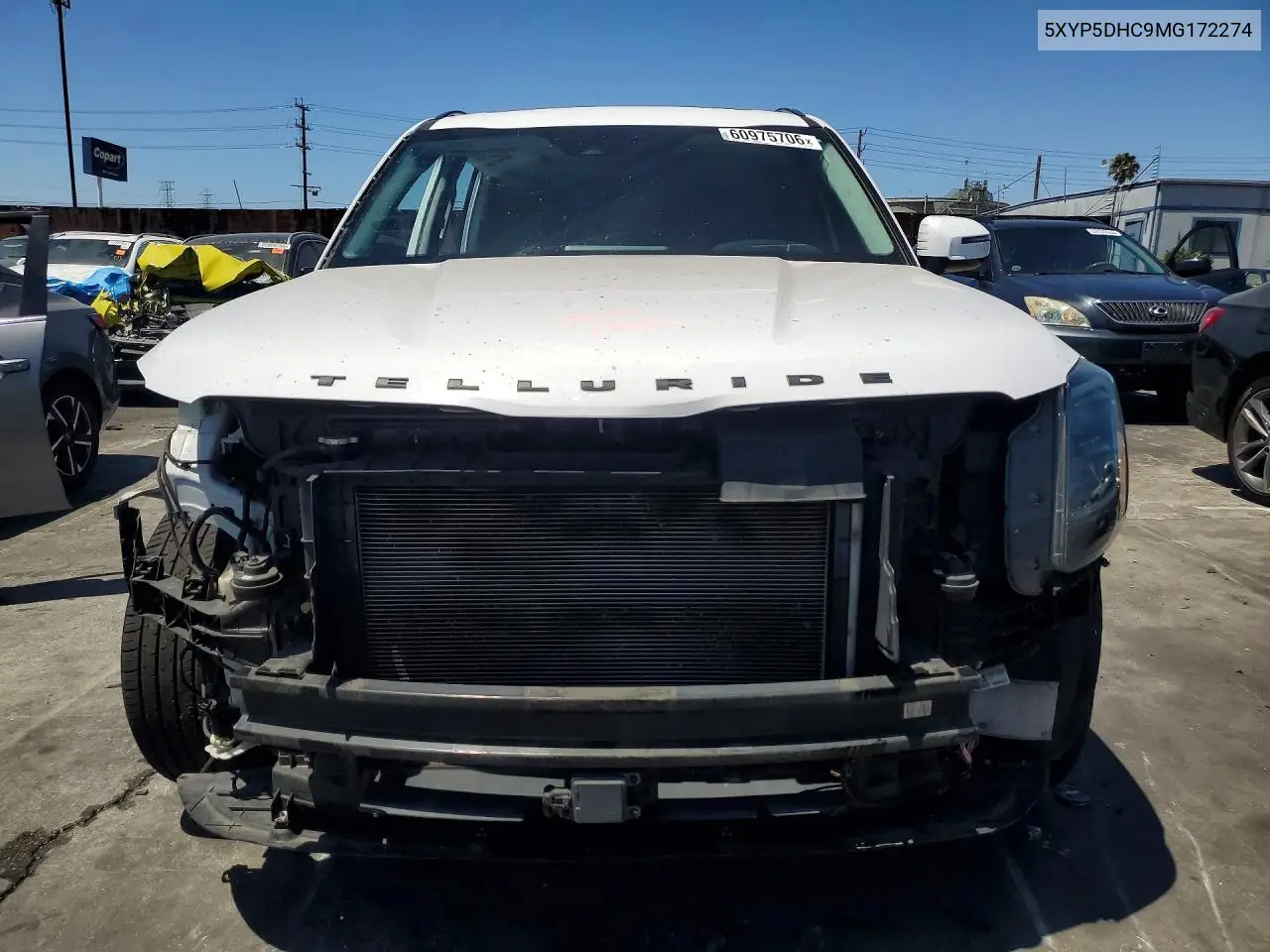 2021 Kia Telluride Sx VIN: 5XYP5DHC9MG172274 Lot: 60975706