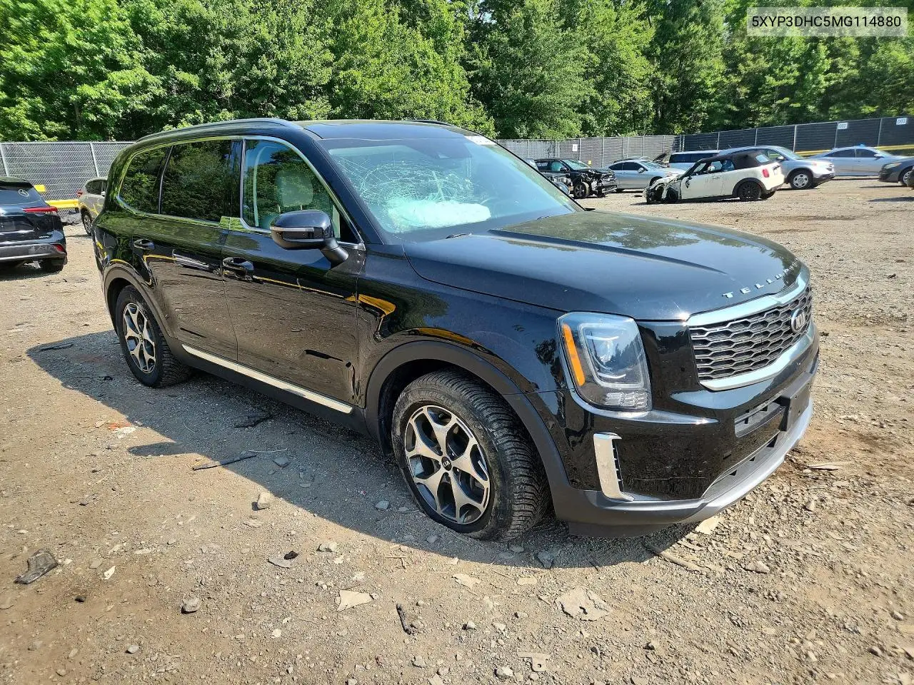 2021 Kia Telluride Ex VIN: 5XYP3DHC5MG114880 Lot: 61071206