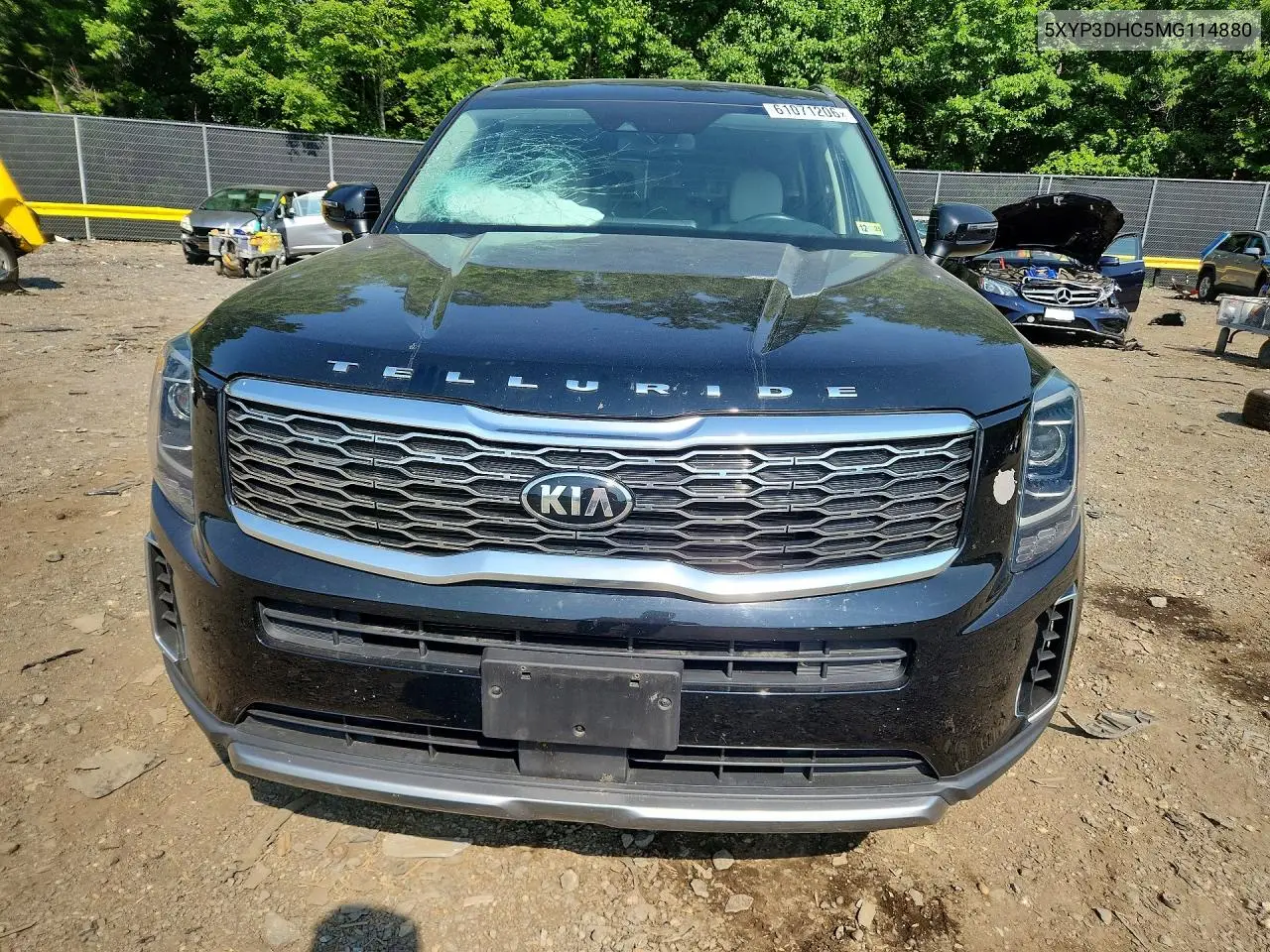 2021 Kia Telluride Ex VIN: 5XYP3DHC5MG114880 Lot: 61071206