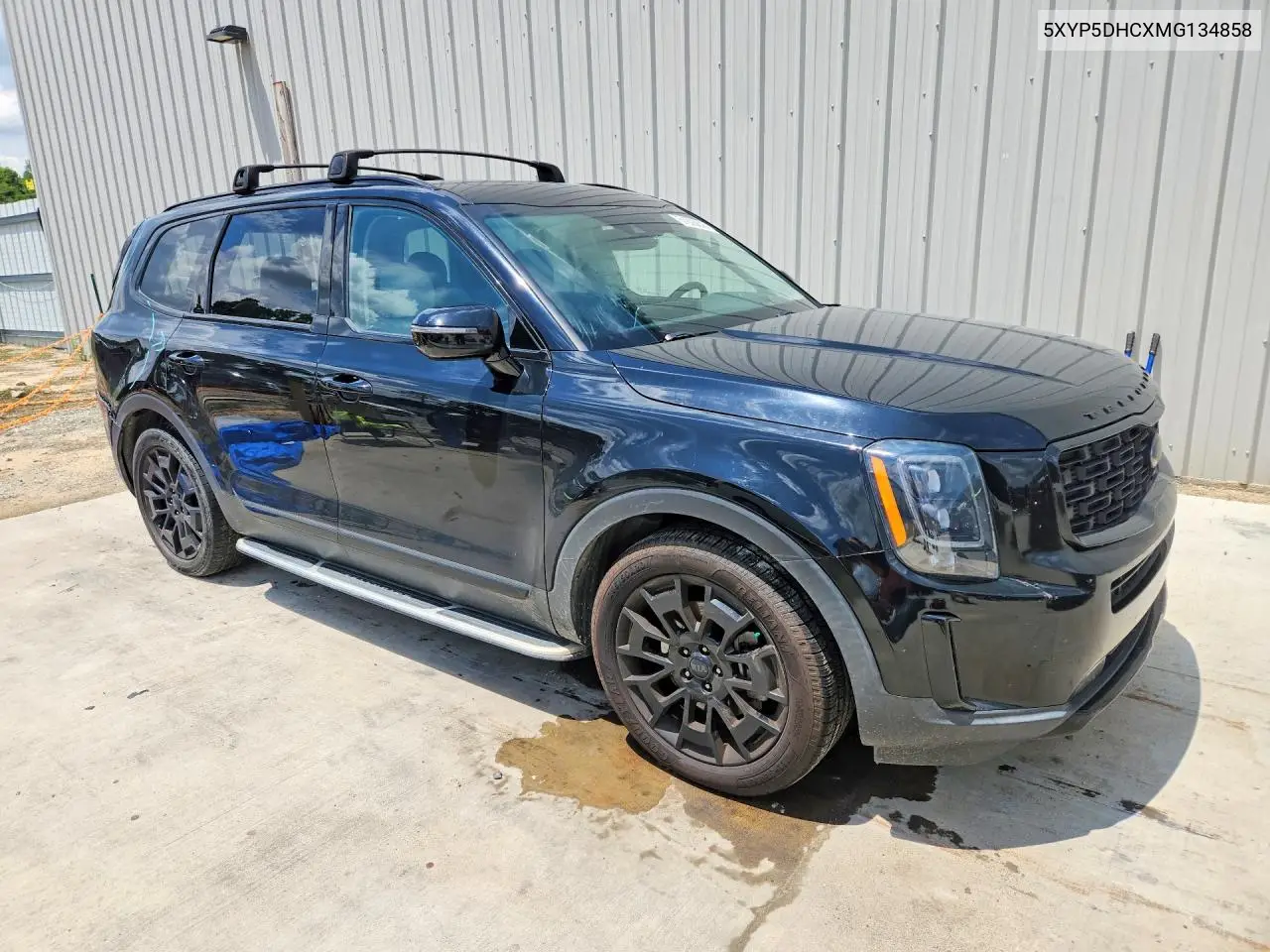 2021 Kia Telluride Sx VIN: 5XYP5DHCXMG134858 Lot: 61228816