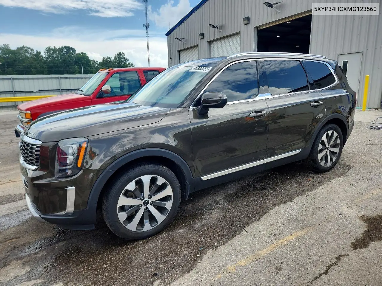 2021 Kia Telluride Ex VIN: 5XYP34HCXMG123560 Lot: 61544466
