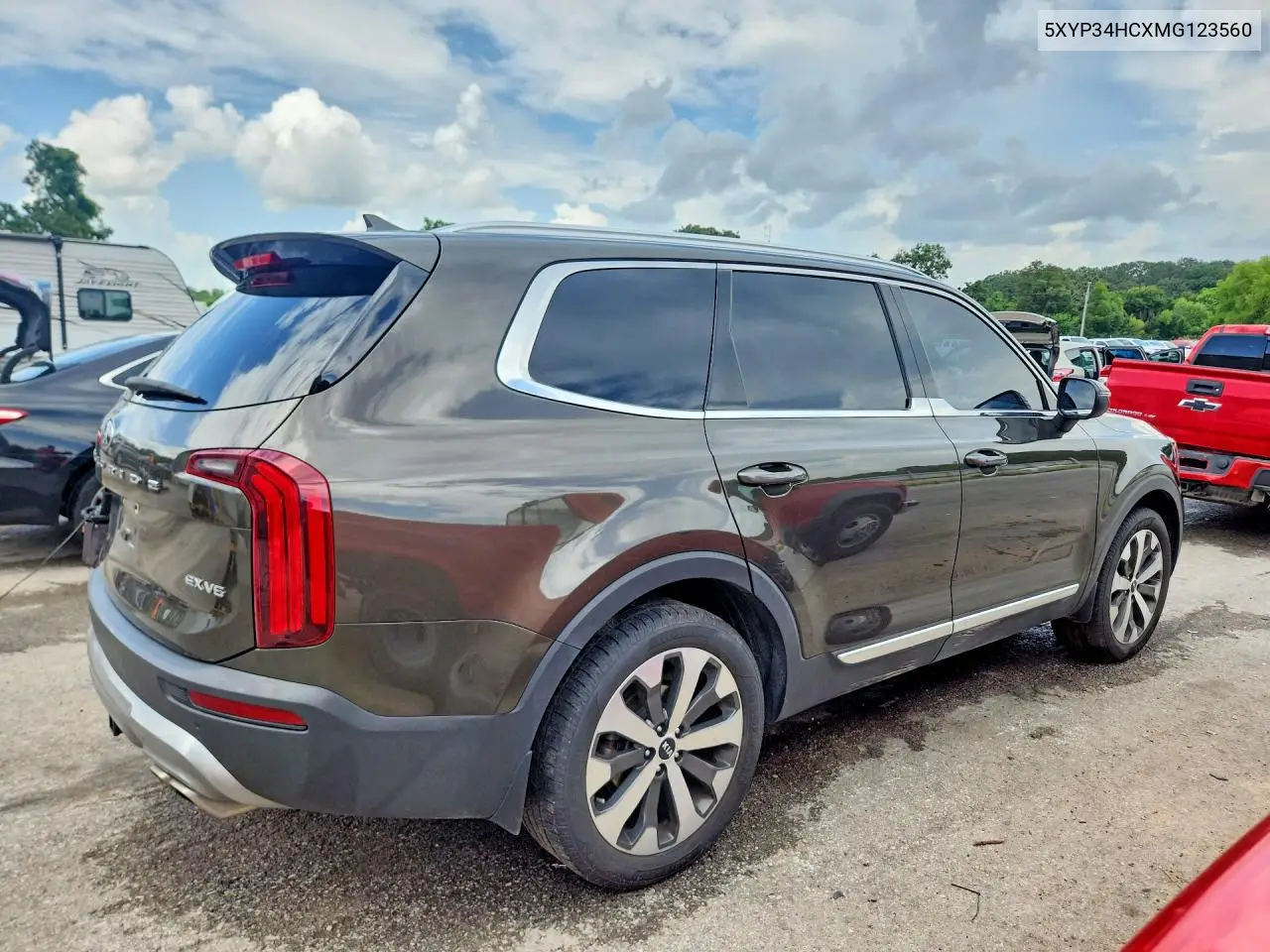 2021 Kia Telluride Ex VIN: 5XYP34HCXMG123560 Lot: 61544466