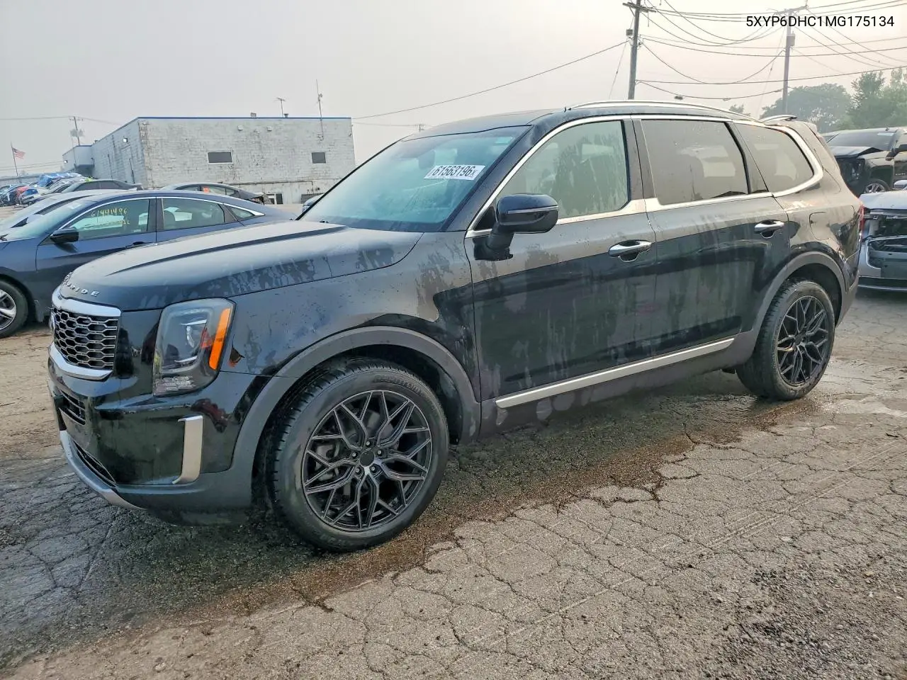 2021 Kia Telluride S VIN: 5XYP6DHC1MG175134 Lot: 61563196