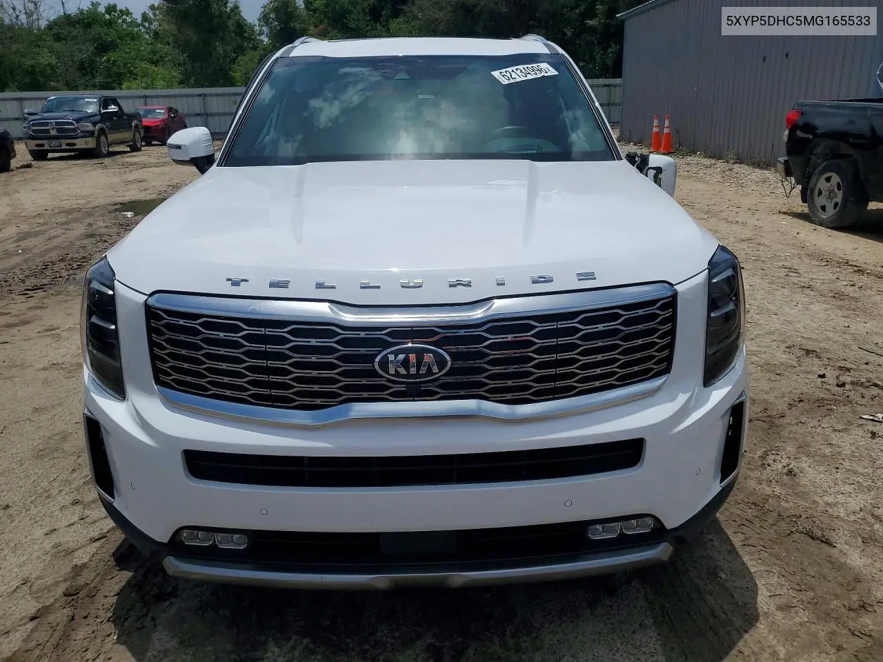2021 Kia Telluride Sx VIN: 5XYP5DHC5MG165533 Lot: 62134996