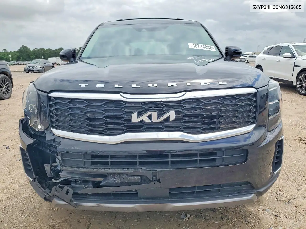 2022 Kia Telluride Ex VIN: 5XYP34HC0NG315605 Lot: 46734886
