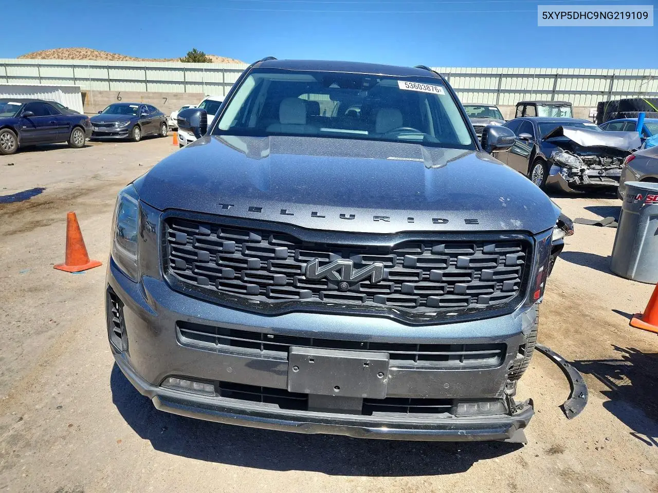 5XYP5DHC9NG219109 2022 Kia Telluride Sx