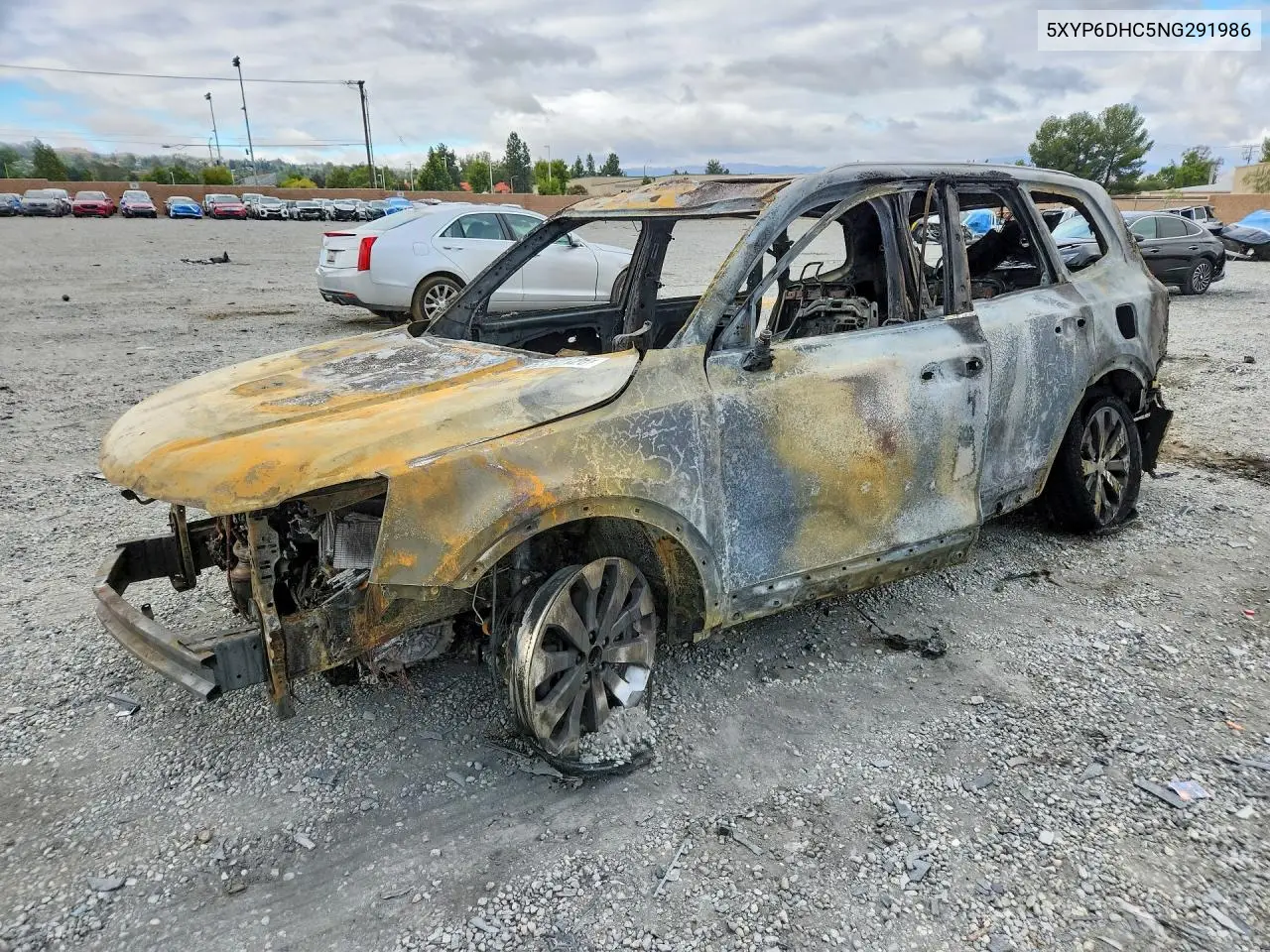 2022 Kia Telluride S VIN: 5XYP6DHC5NG291986 Lot: 55377126
