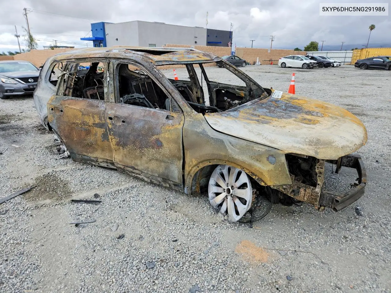 2022 Kia Telluride S VIN: 5XYP6DHC5NG291986 Lot: 55377126
