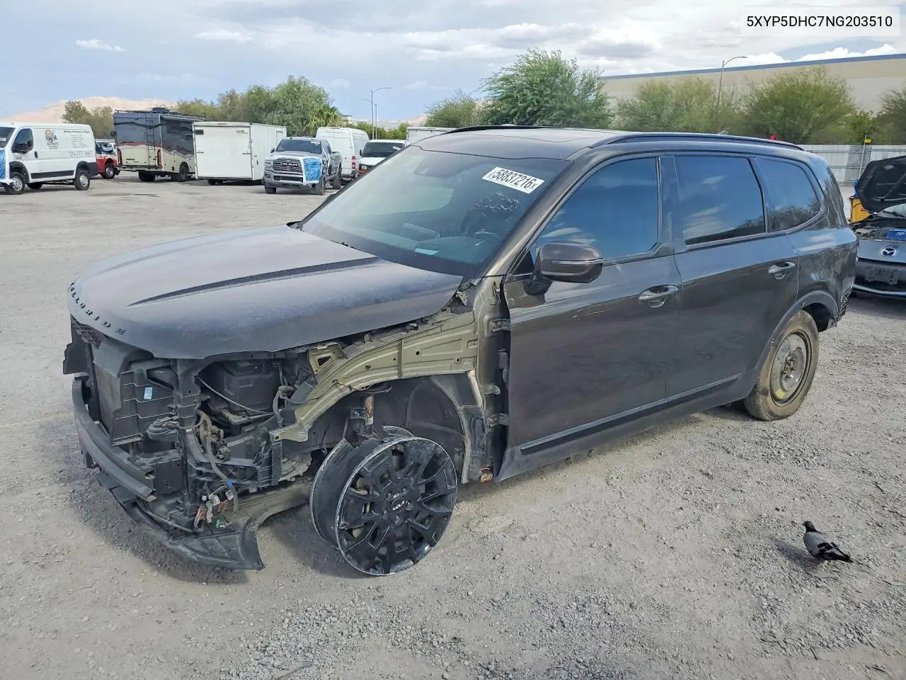 2022 Kia Telluride Sx VIN: 5XYP5DHC7NG203510 Lot: 58837216