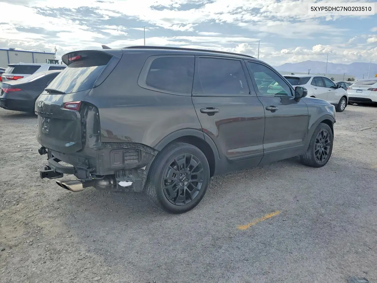 2022 Kia Telluride Sx VIN: 5XYP5DHC7NG203510 Lot: 58837216