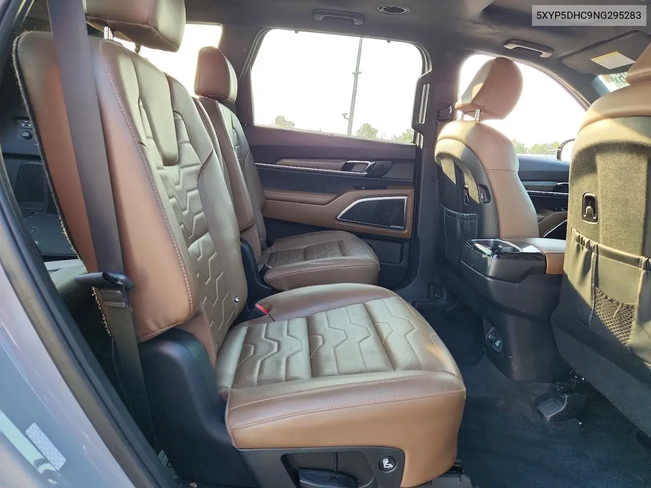 2022 Kia Telluride Sx VIN: 5XYP5DHC9NG295283 Lot: 59790076