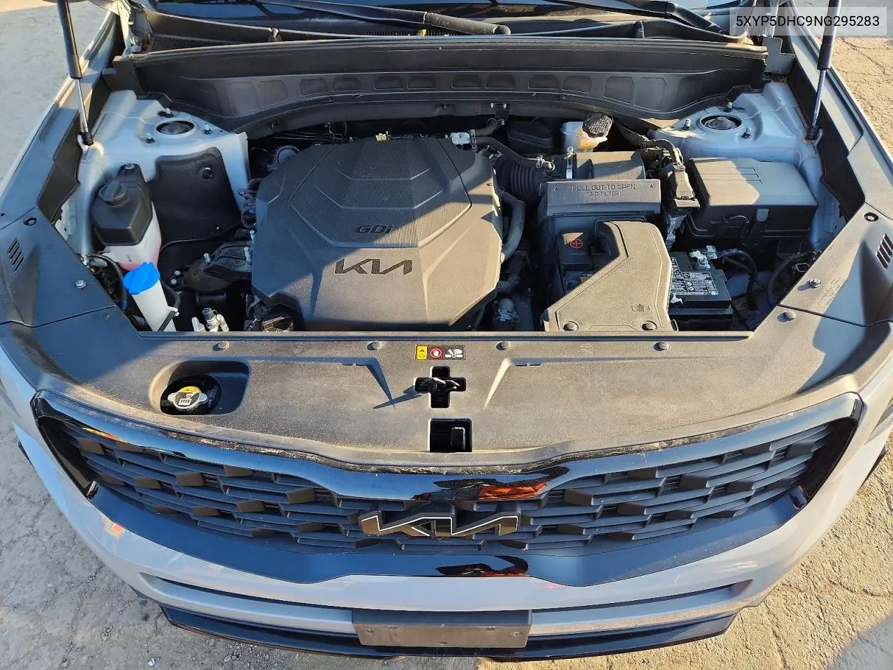 2022 Kia Telluride Sx VIN: 5XYP5DHC9NG295283 Lot: 59790076