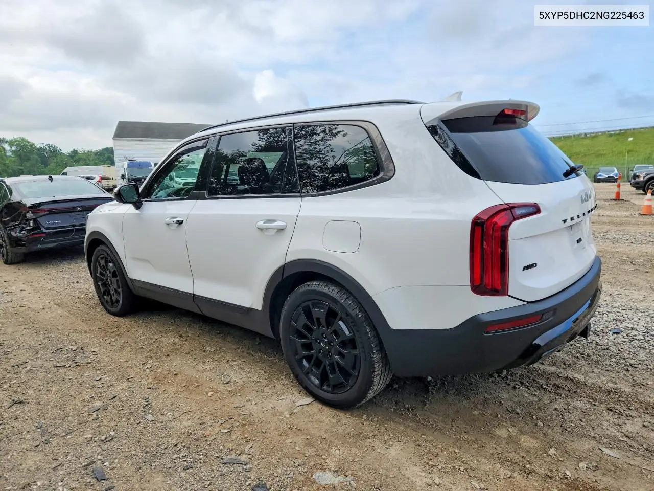 2022 Kia Telluride Sx VIN: 5XYP5DHC2NG225463 Lot: 59901816