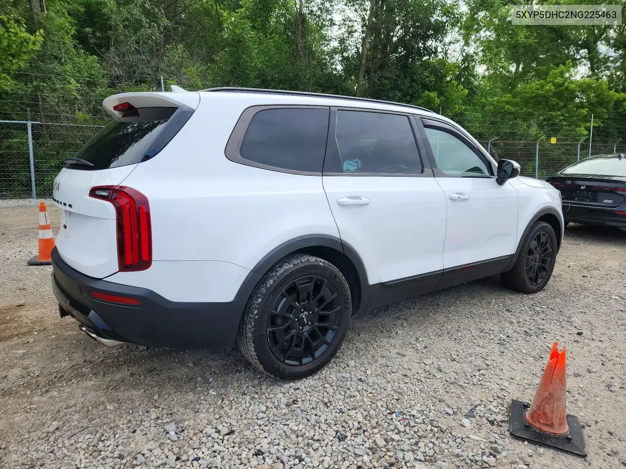 2022 Kia Telluride Sx VIN: 5XYP5DHC2NG225463 Lot: 59901816