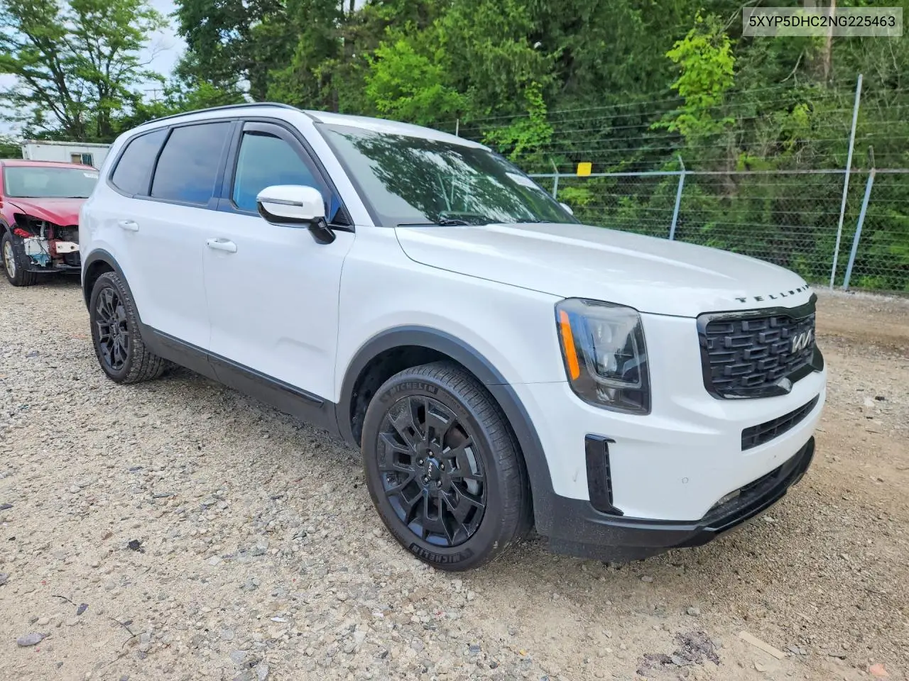 2022 Kia Telluride Sx VIN: 5XYP5DHC2NG225463 Lot: 59901816