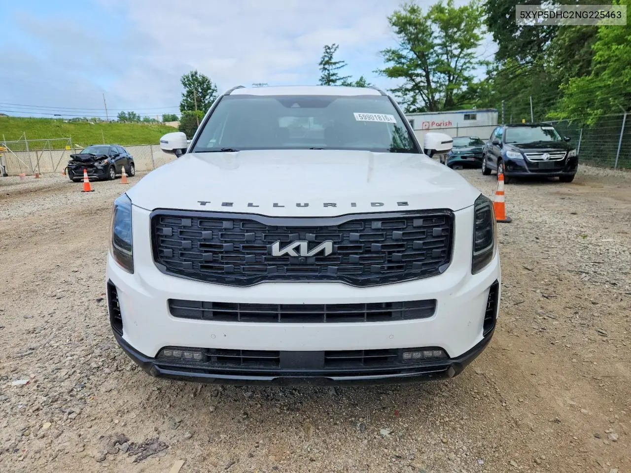 2022 Kia Telluride Sx VIN: 5XYP5DHC2NG225463 Lot: 59901816