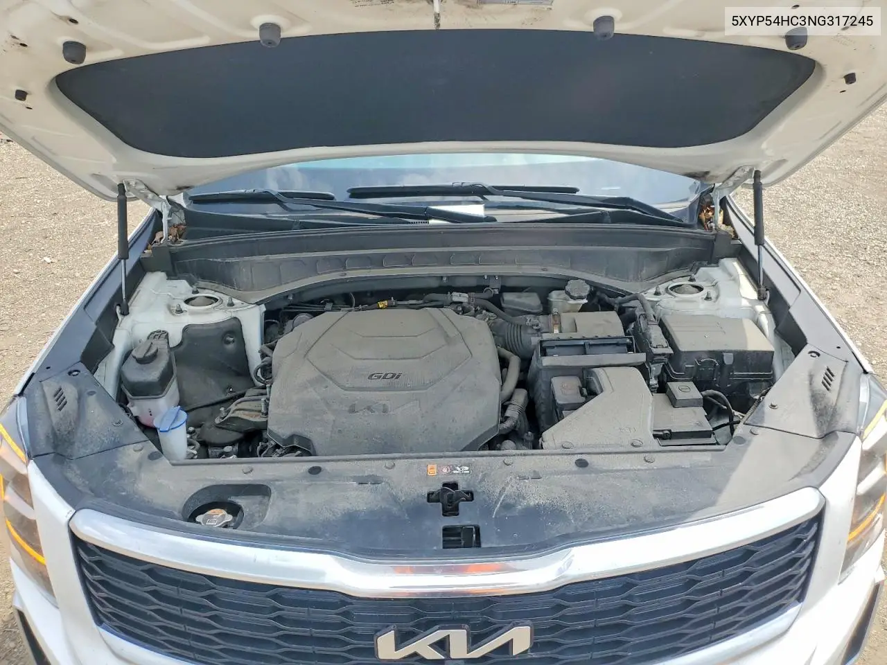 2022 Kia Telluride Sx VIN: 5XYP54HC3NG317245 Lot: 59964906