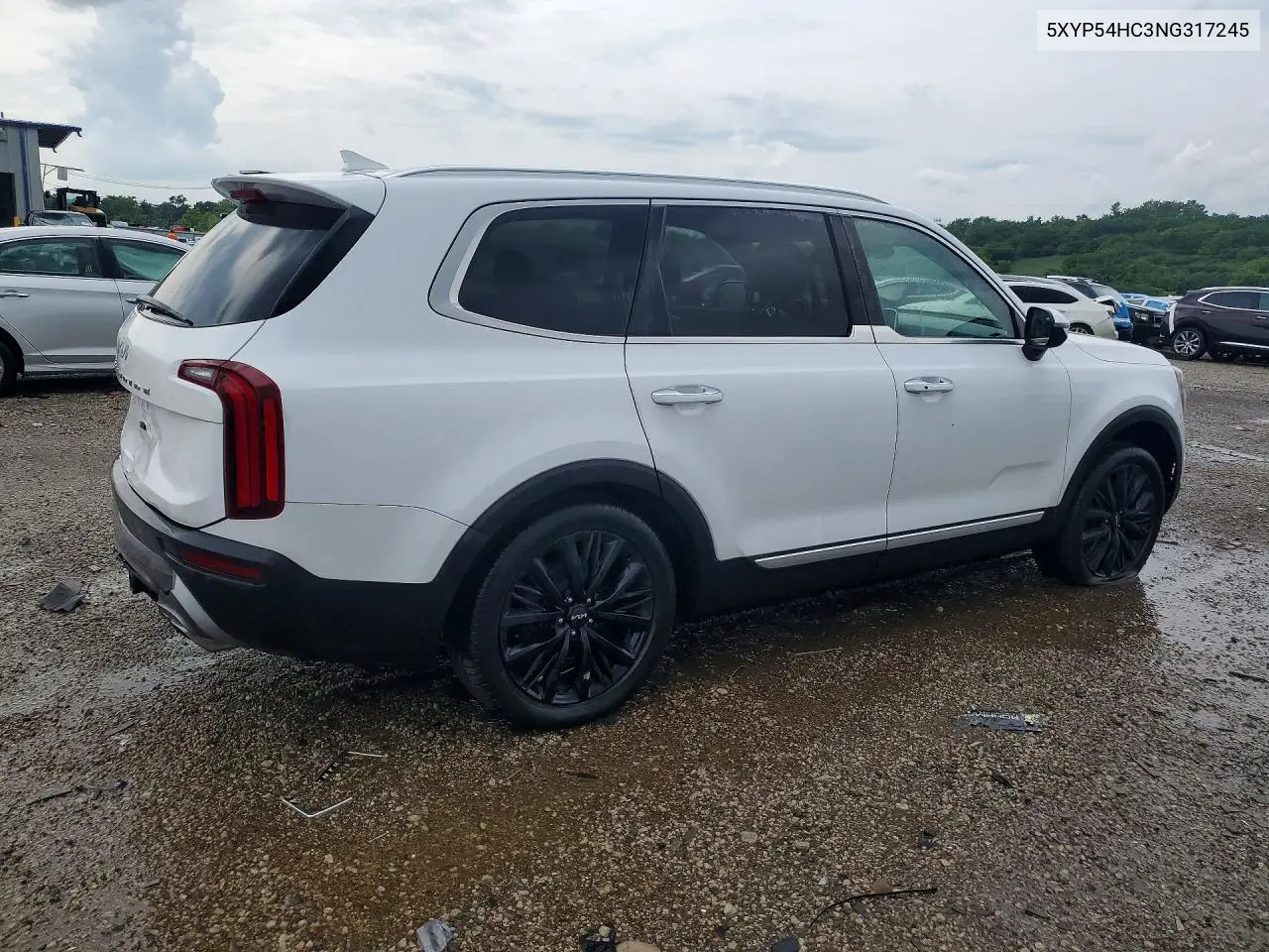2022 Kia Telluride Sx VIN: 5XYP54HC3NG317245 Lot: 59964906
