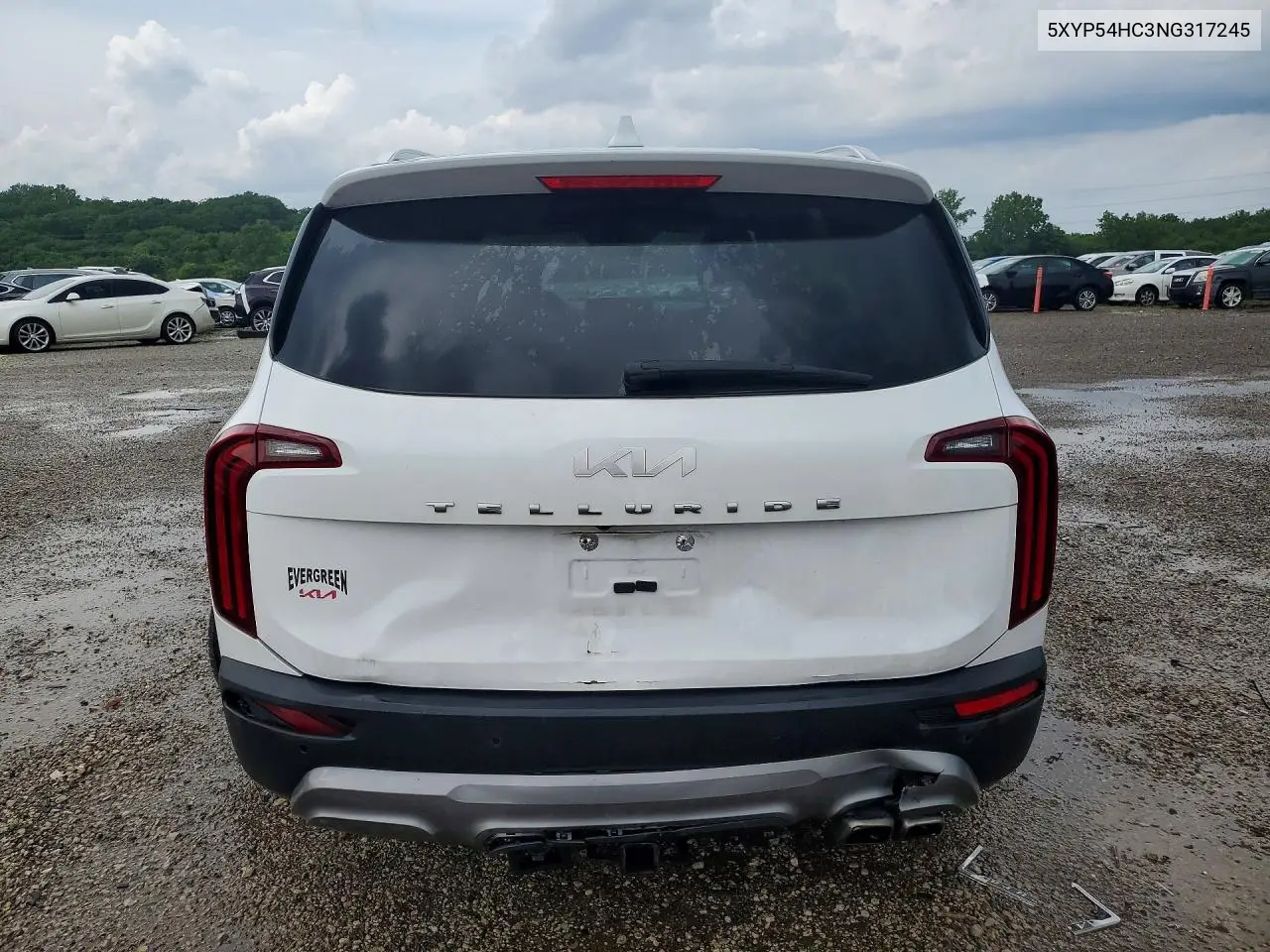 2022 Kia Telluride Sx VIN: 5XYP54HC3NG317245 Lot: 59964906