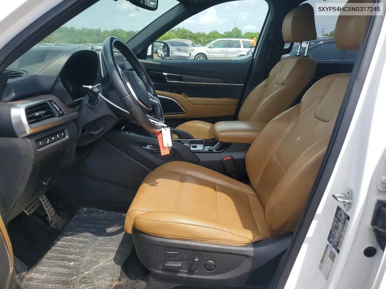 2022 Kia Telluride Sx VIN: 5XYP54HC3NG317245 Lot: 59964906
